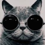 Reznik Profile Picture