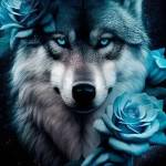 Сергей Килин profile picture